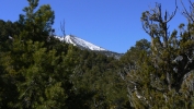 PICTURES/Wildrose Peak Hike/t_Trail View3.JPG